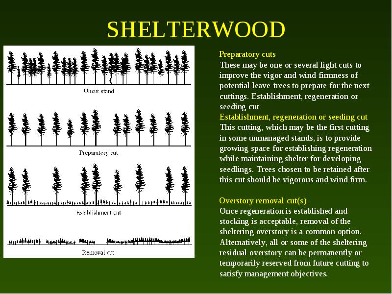 Forestry: Envirothon Forests: Assessing The Resource