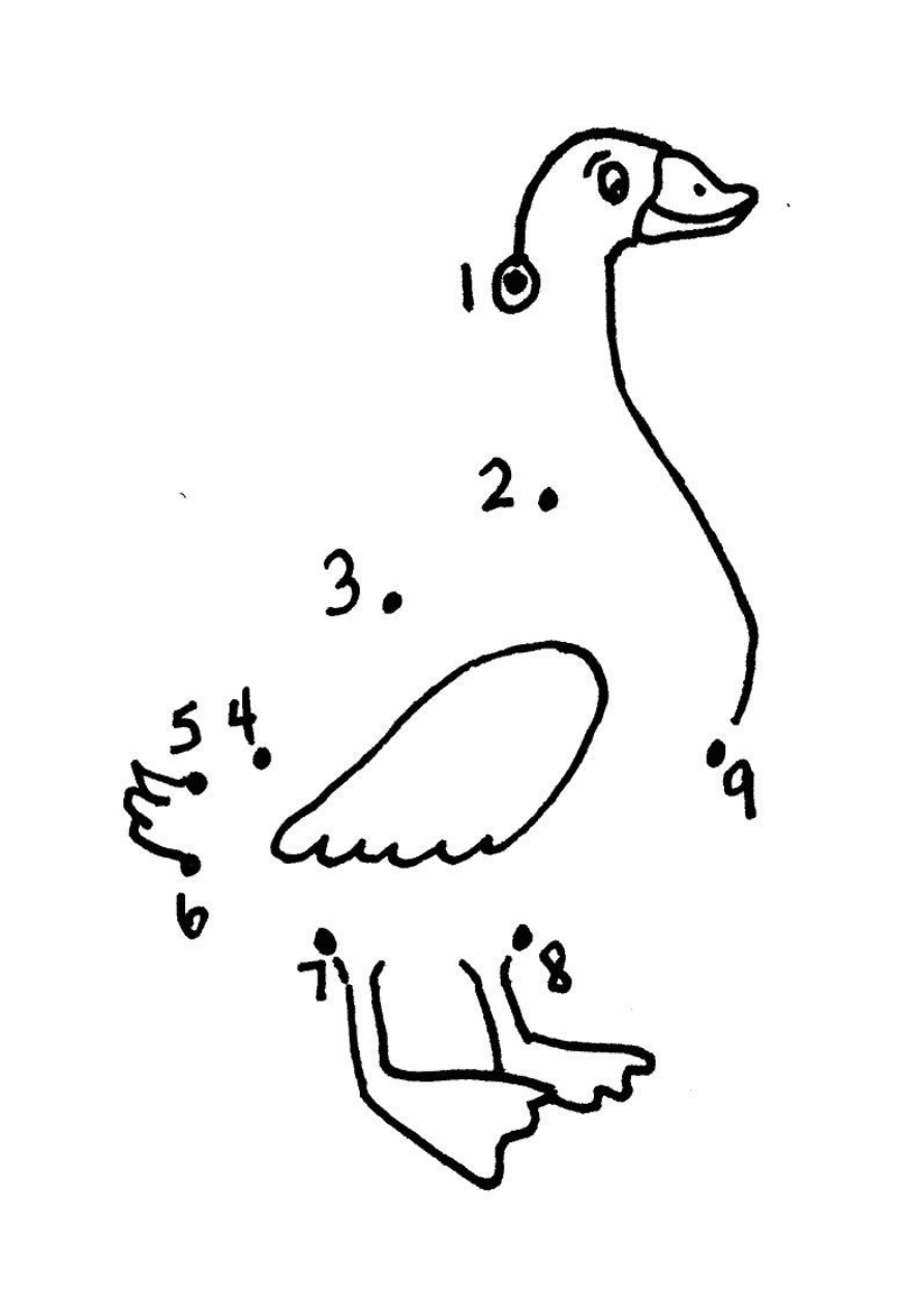 Рисование по точкам домашние птицы